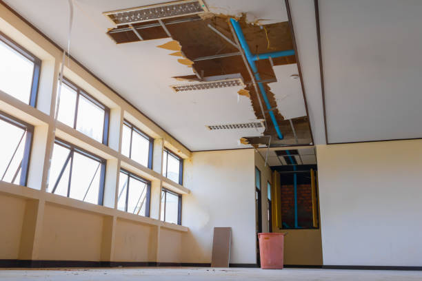 Best Carpet water damage restoration  in Brownsville, KY