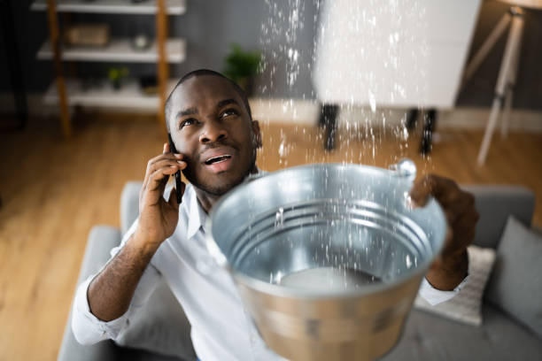 Best Sewage cleanup and water damage restoration  in Brownsville, KY