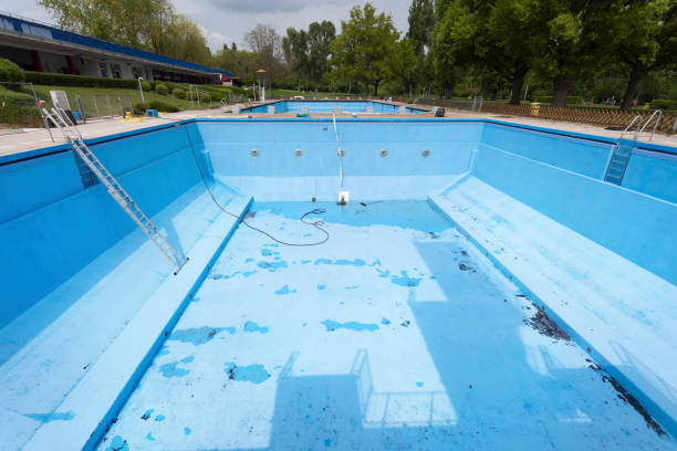 Best Water damage cleanup near me  in Brownsville, KY