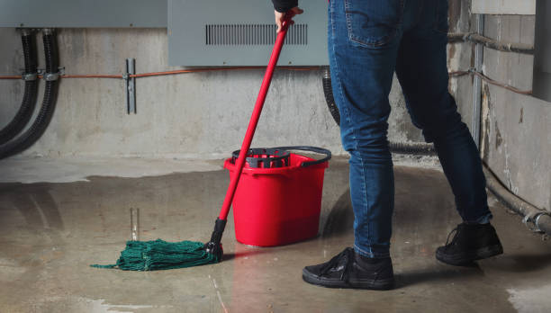 Best Basement water damage restoration  in Brownsville, KY