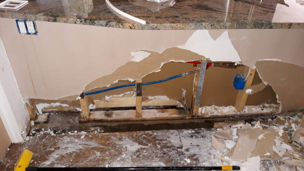 Best Mold removal after water damage  in Brownsville, KY
