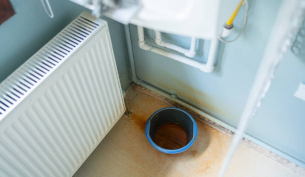 Best Residential water damage restoration  in Brownsville, KY