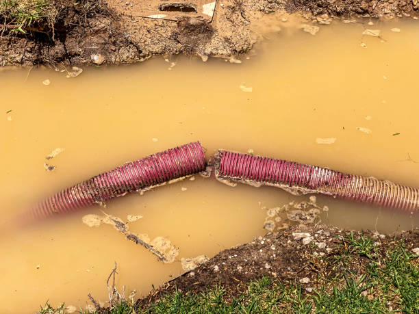 Best Local water damage restoration  in Brownsville, KY